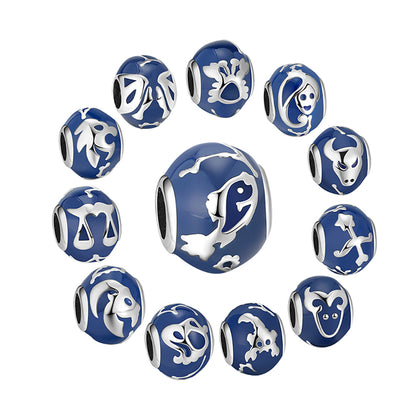 BirthMonthZodiacCharmsforBraceletSterlingSilverWomensGingerLyneCollection_Aquarius-7